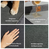 [COMPRE 1 LEVE 2] Escada Artesanal em Espiral para Pet + 2 Brindes Incríveis